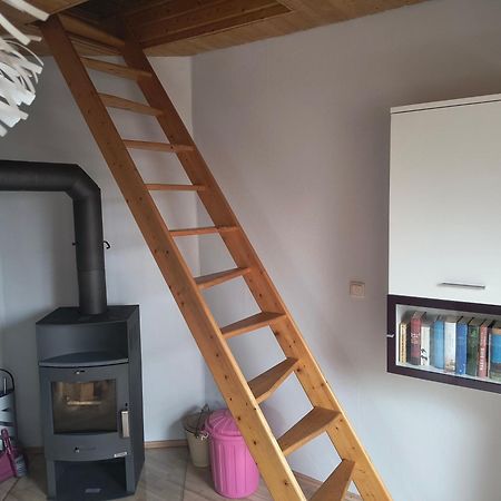 Wohnung Auerand Nienhagen Dış mekan fotoğraf